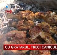S-au racorit cu gratare pe canicula. Tratamentul perfect cand mercurul termometrelor urca pana la 37 grade Celsius!